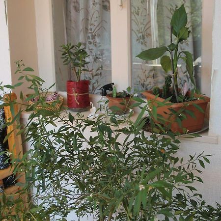 מסטיה Marina Chartolani'S Guest House מראה חיצוני תמונה