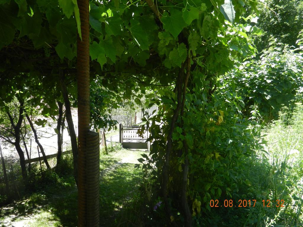 מסטיה Marina Chartolani'S Guest House מראה חיצוני תמונה