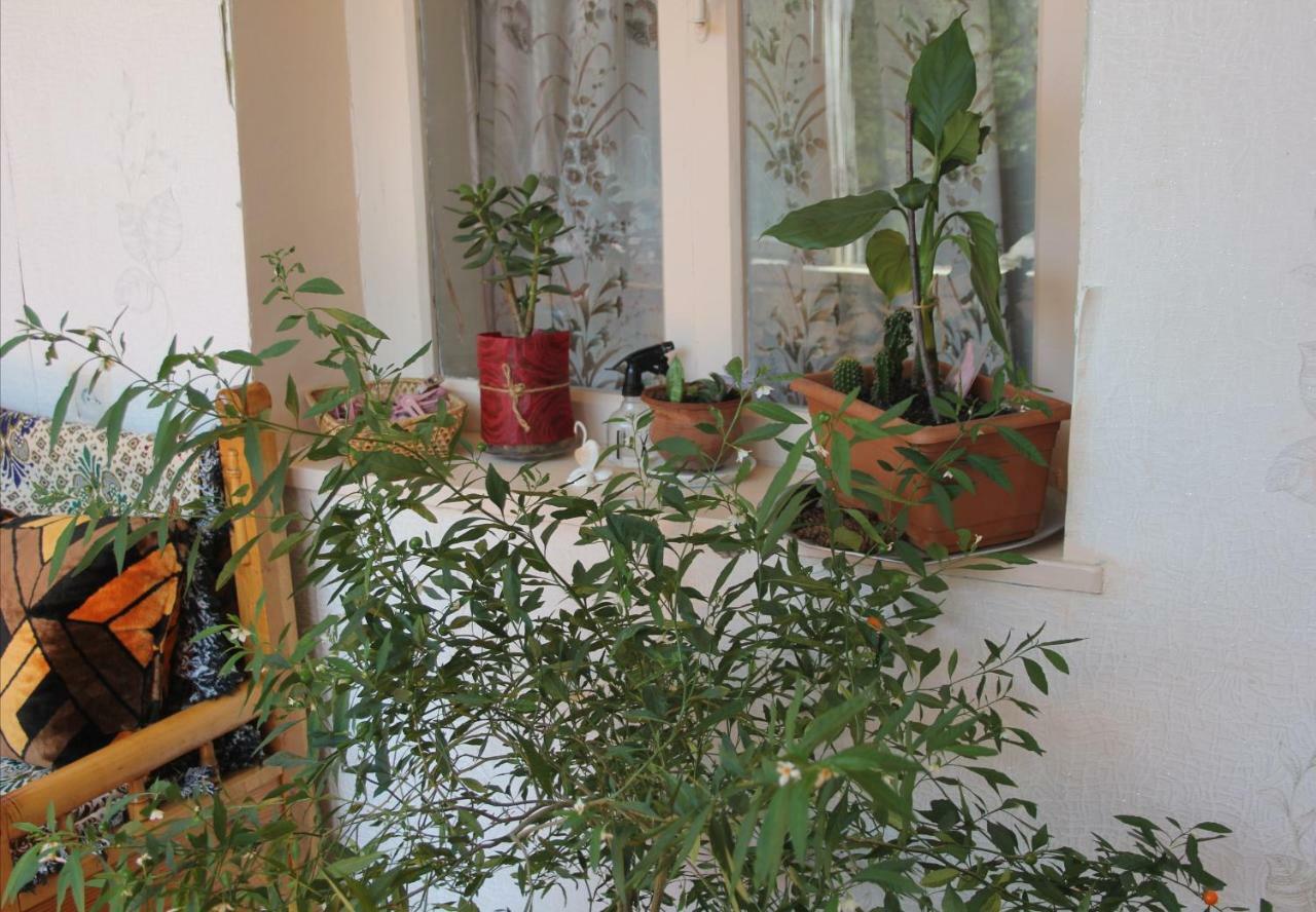 מסטיה Marina Chartolani'S Guest House מראה חיצוני תמונה